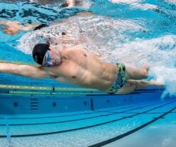 MP Boys Palm Spirit Brief - Oasis -Swimming Equipment Sale Elite Training Swimwear Brief Oasis 4 48461.1532412293.1280.1280 706fbe28 7ee7 4d5f 971a f454f6099063